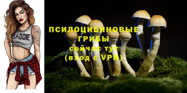 первитин Вяземский