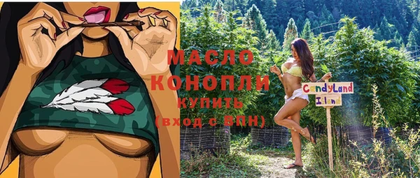 прущий лед Горняк