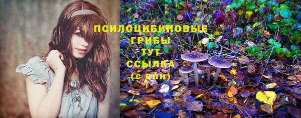 стафф Вязьма